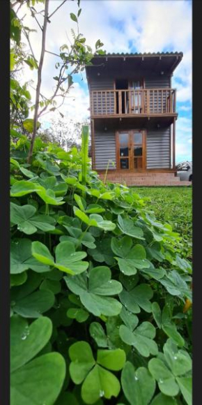 Tinyhousegarden - Silver Coin